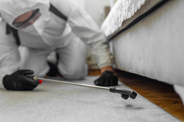 Professional Pest Control technician working in McHenry County County, ND
